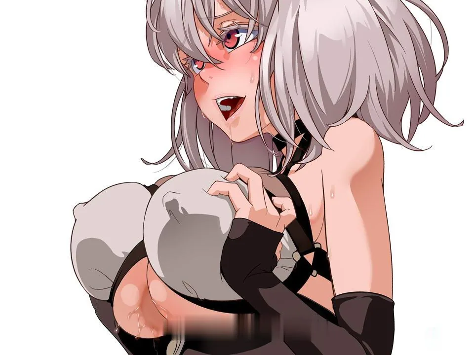 【RPG/中文/步兵】尼夫海姆的猎人：阿瑟尔的烙印！官方中文+DLC+全动画+CG+攻略【1G】