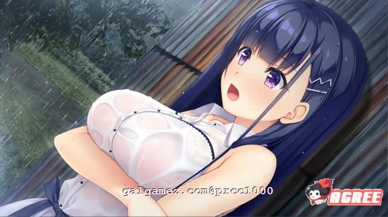 【大型ADV/汉化】纯真之夏 汉化硬盘版+全CG存档[水明学园汉化组]【2.4G/新汉化/全CV】 畅玩游戏 预览第3张