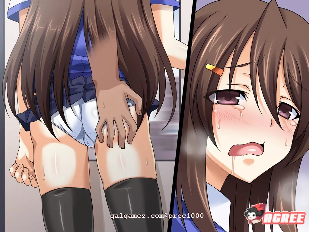 【拔作ADV/汉化/恶堕】TS魔法少女闪：调教恶堕PLUS！精翻汉化版+全CG【新汉化/4G】 畅玩游戏 预览第5张