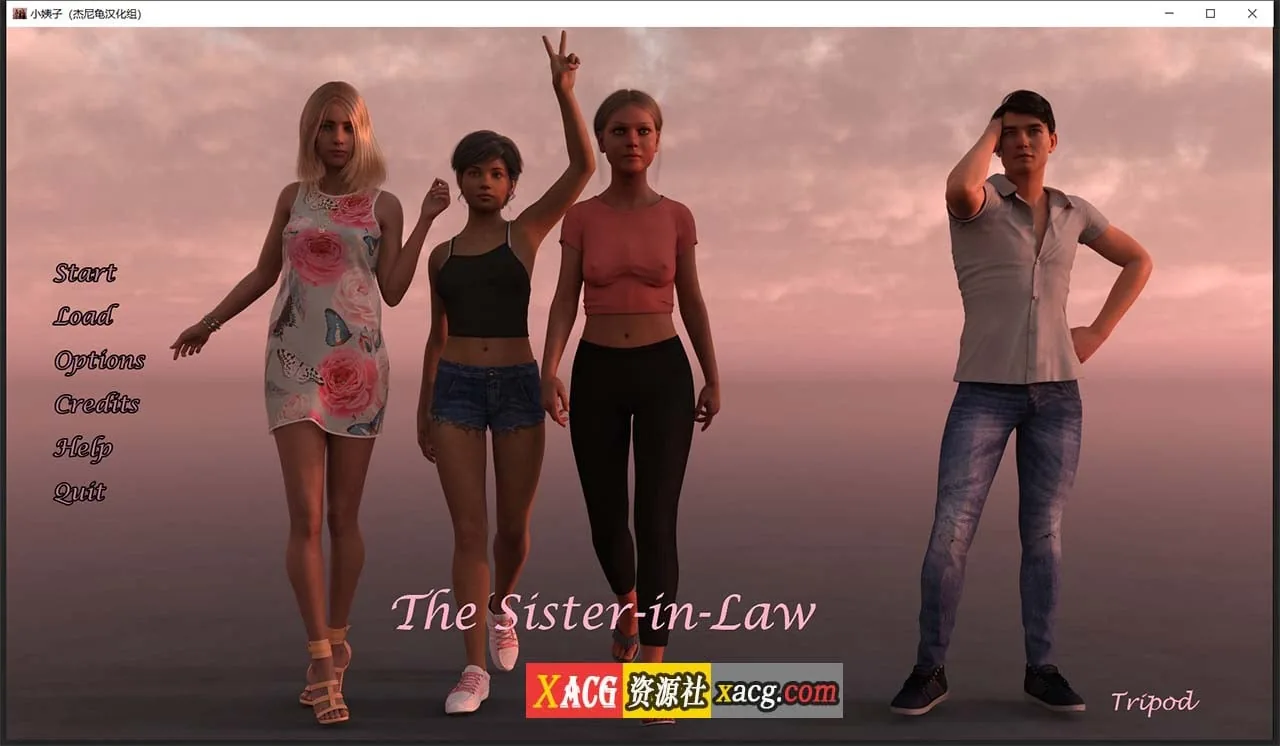 【欧美SLG/汉化/动态】小姨子 V0.04.05a 汉化版【PC+安卓/2.2G】