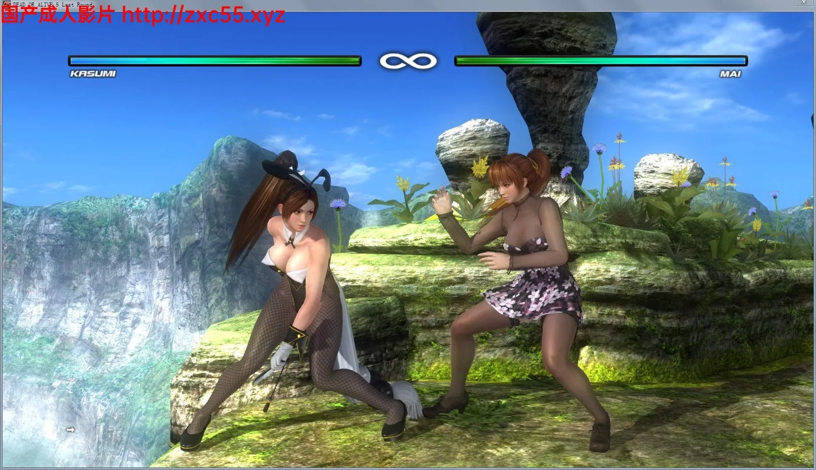 {3D/FTG}死或生5:最后一战 完全皇帝版+DLC+绅士魔改服装CG动画+原版终极整合{13.02gb} - 内容配图2