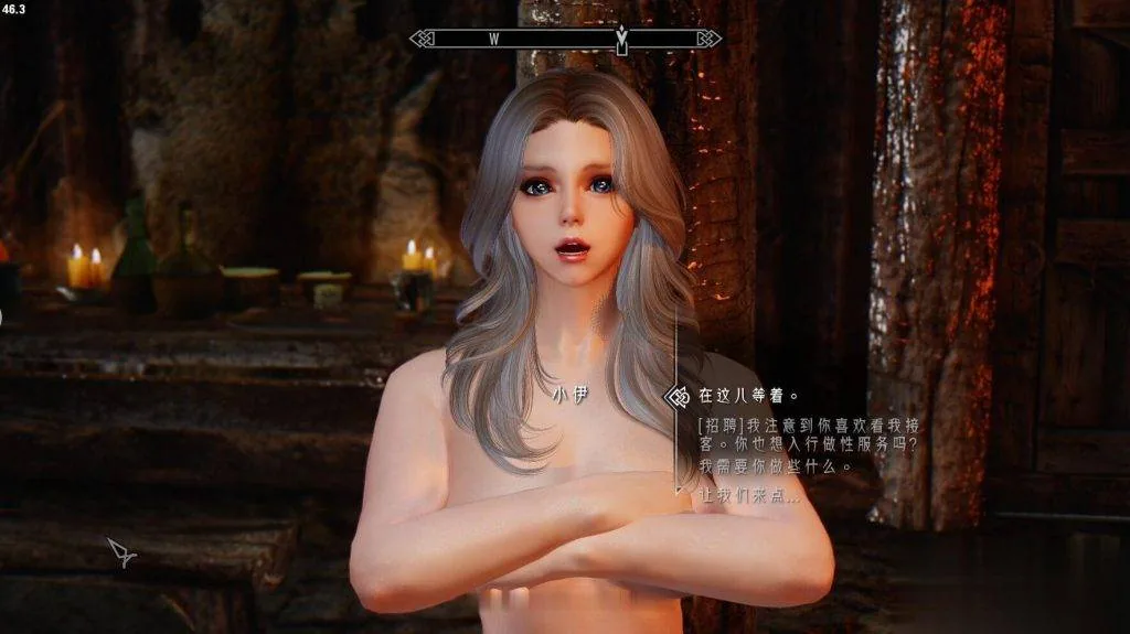 {大型3D/中文/魔改}上古卷轴5 奴漫城[小白绅士专用高优化版]{100.02gb}{更新/全CV} - 内容配图5
