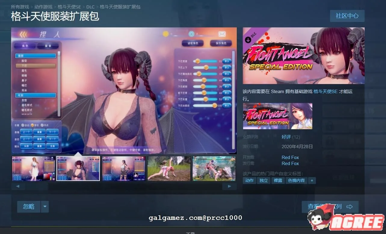 【大型ACT/中文/步兵】格斗天使SE 最全整合版！ 双画风DLC+服装包DLC 【4G】 畅玩游戏 预览第5张