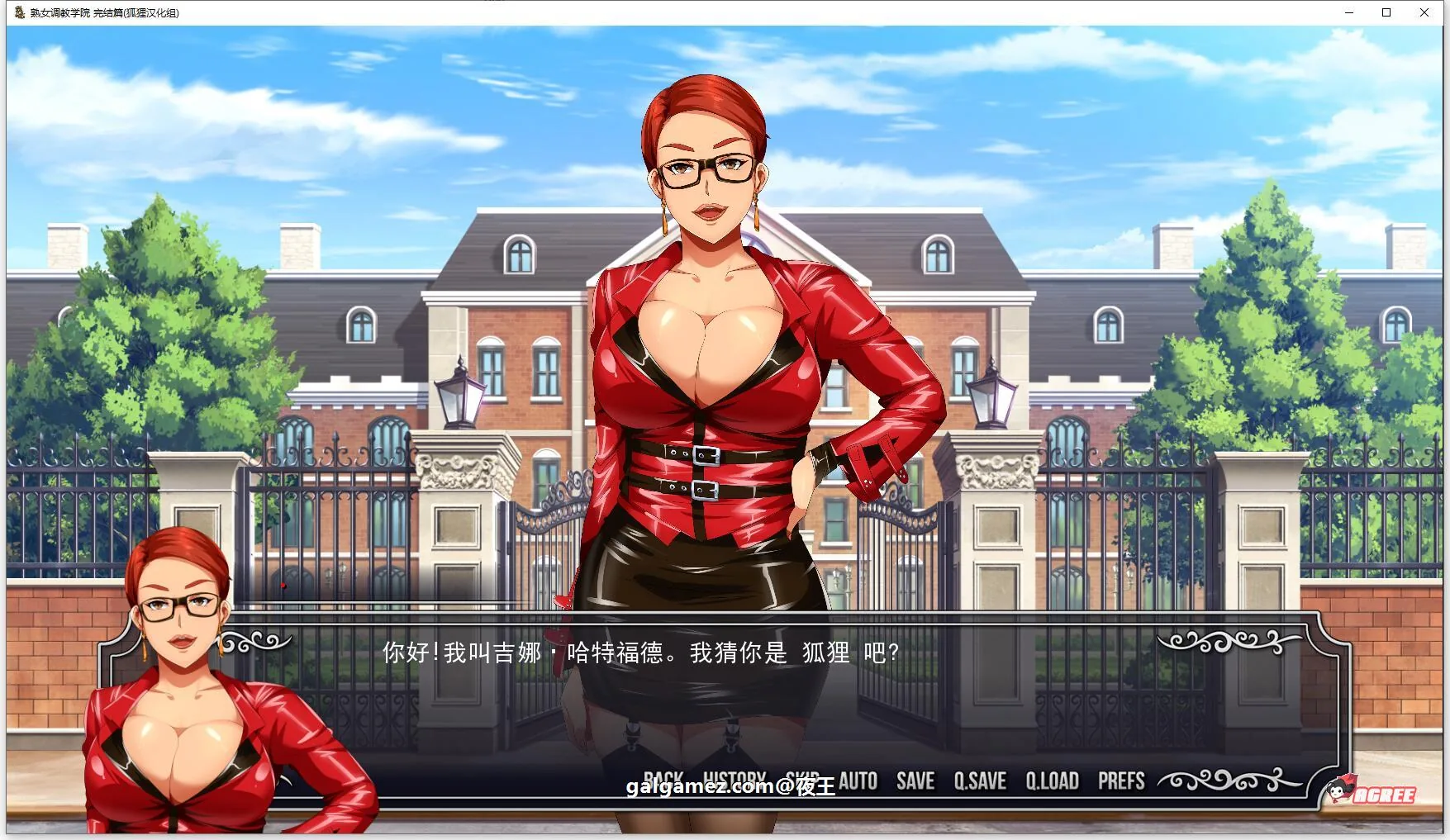 【欧美2D/汉化/动态】淑女调教学院 精翻汉化完结步兵版+全CG【新汉化/PC+安卓/1G】 畅玩游戏 预览第2张