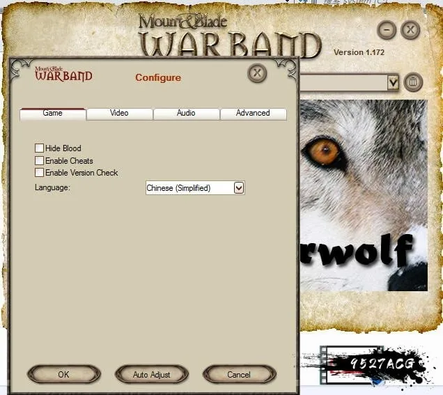 【沙盒RPG/汉化】骑马与砍杀-Warwolf 战狼 绅士MOD+破解【2.7G】 畅玩游戏 预览第4张