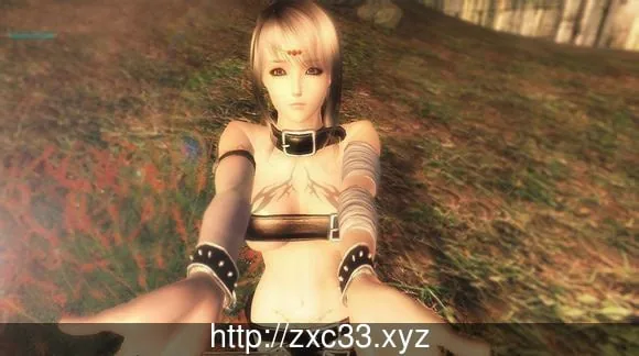 【3D/整合/汉化/动态】 上古卷轴4:湮没 天际降临版【绅士MOD大整合+各类随从/16G】