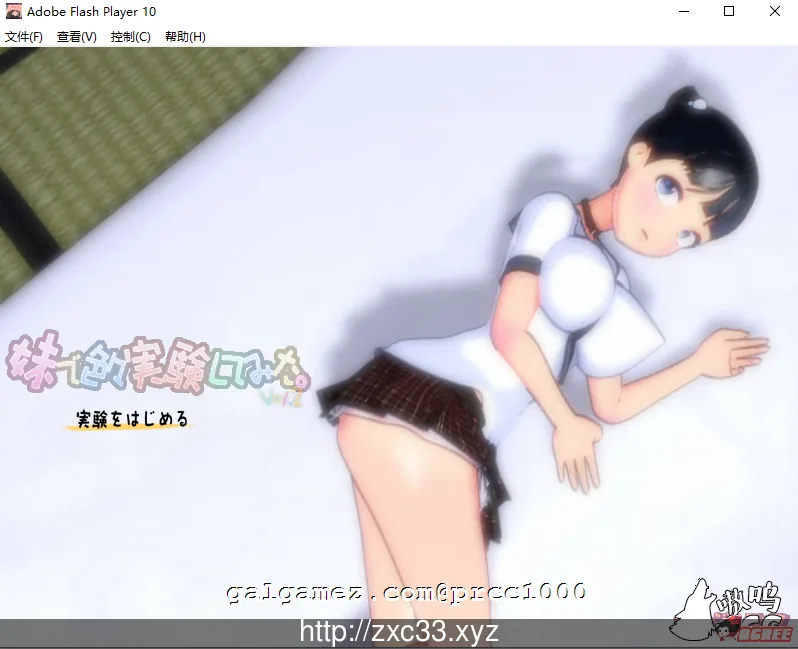 【HAG/3D/全动态】和妹妹做涩涩的接合实验吧！1+2完整版【2.5G】【全CV/合集】