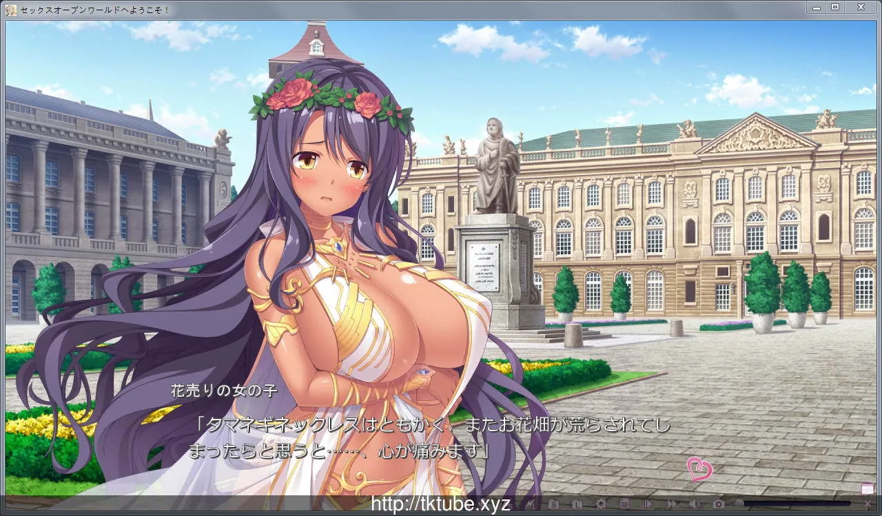 欢迎来到随便播种的异世界！完整硬盘版+全CG档+CG包 - 内容配图7
