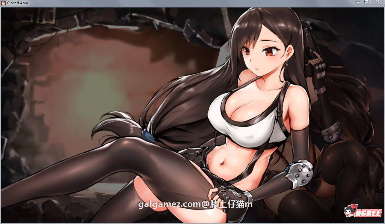 {解密ACT/全动态}封闭的区域-Z ！DL正式版+存档★黑丝蒂法【新作/全CV/战斗H/820mb】