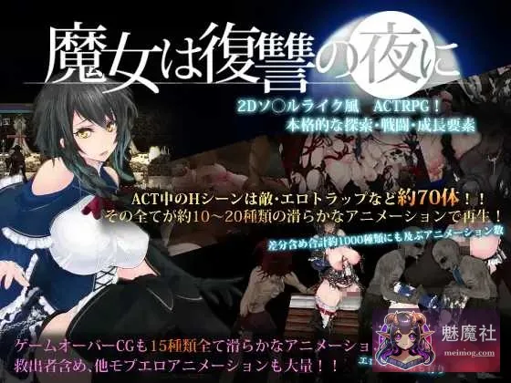 魔女复仇之夜 魔女は復讐の夜に {V1.08 汉化步兵作弊版+魔改mod} {PC} {ACT/汉化/步兵/动态} {2.42gb/微云网盘/直链}