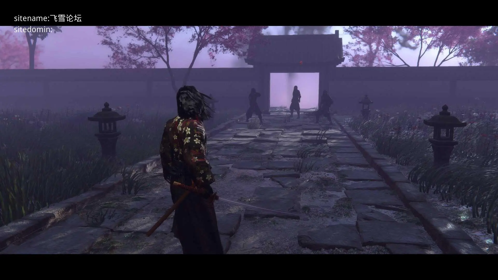 [PC-3D游戏] [3D] [百度云/FM] 红面具浪人：欲望与阴影 Red Masked Ronin: Desires and Shadows 官中+无码+动态 pc【16G+】 - 内容配图3