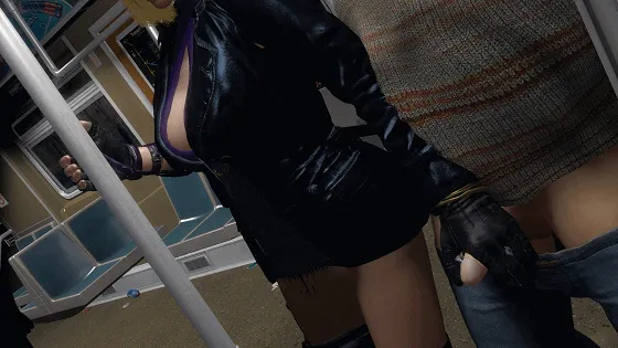 |3D/NTR/CV| szyca：妮娜的秘密打工 极品黑丝御姐电车痴汉爆肏中出 [2.52gb/FM/WY]